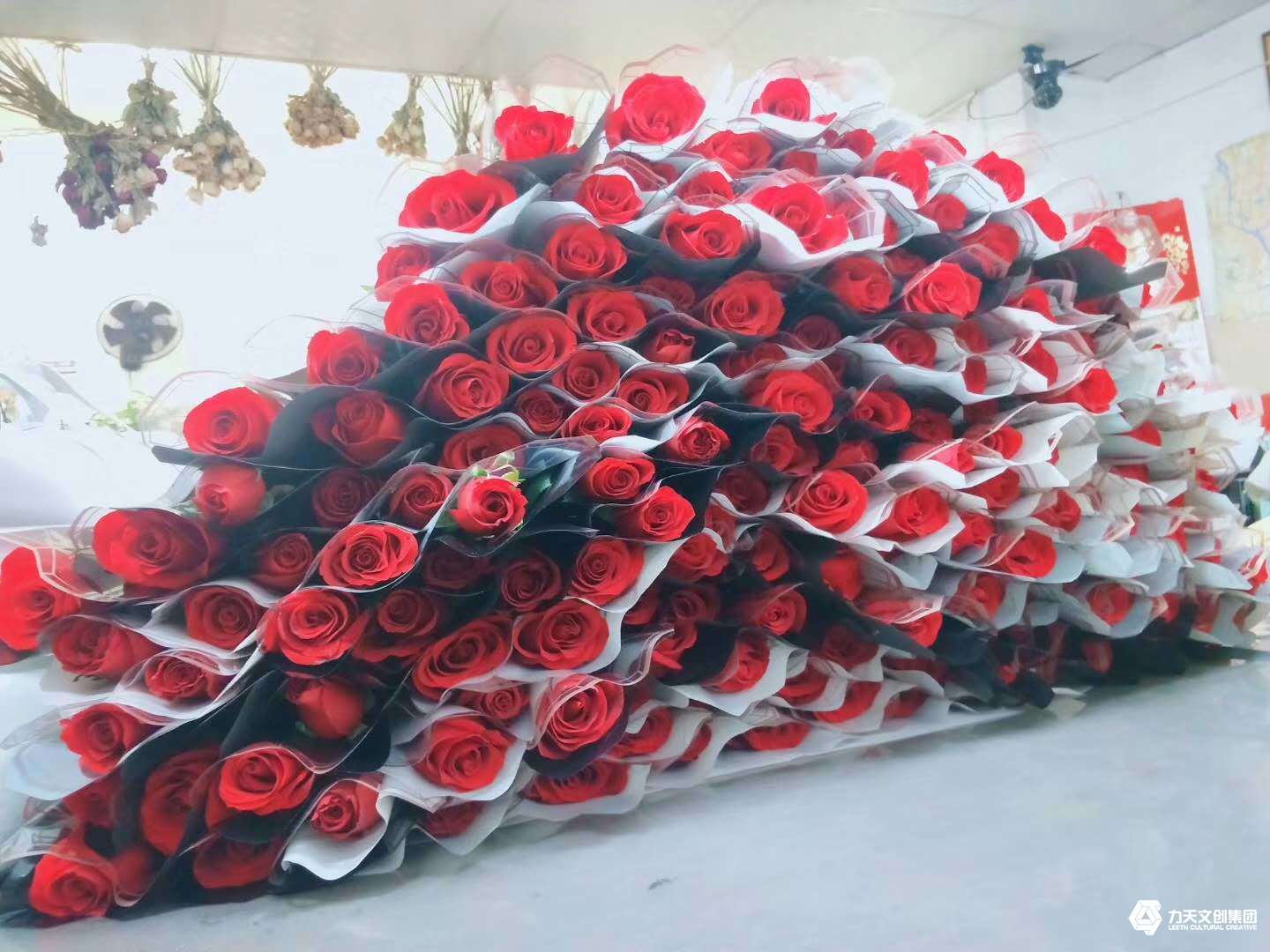 疫情防控  三八婦女節(jié)  女神節(jié)快樂(lè)